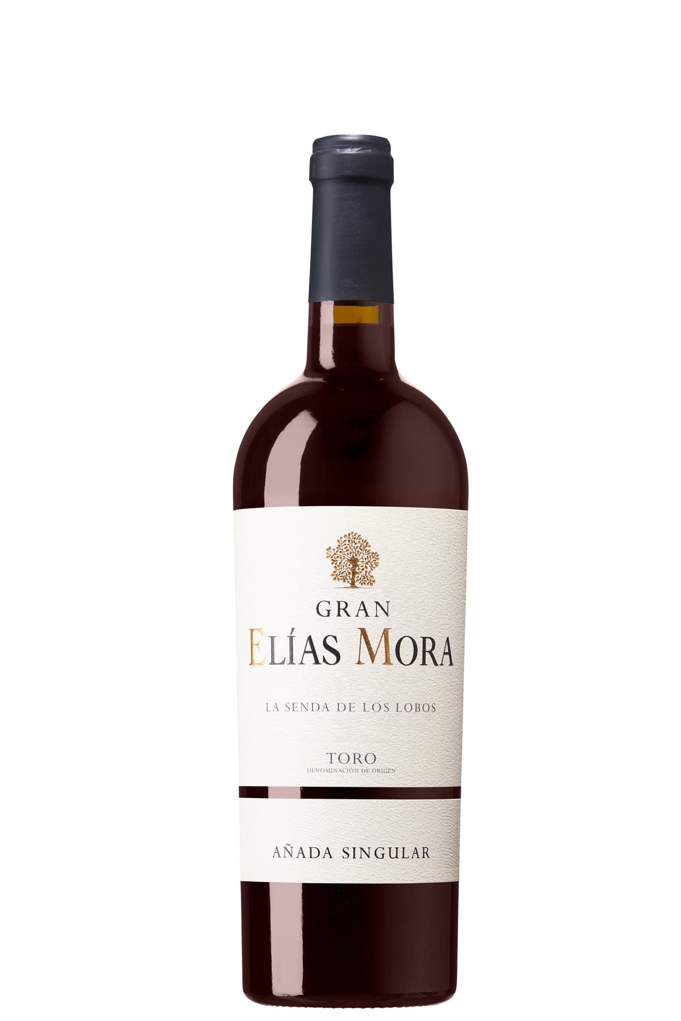 Elías Mora, Gran Elias Mora 2017