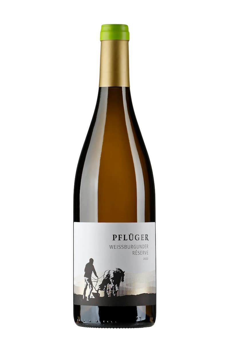 Pflüger, Weißburgunder Réserve 2023 Bio
