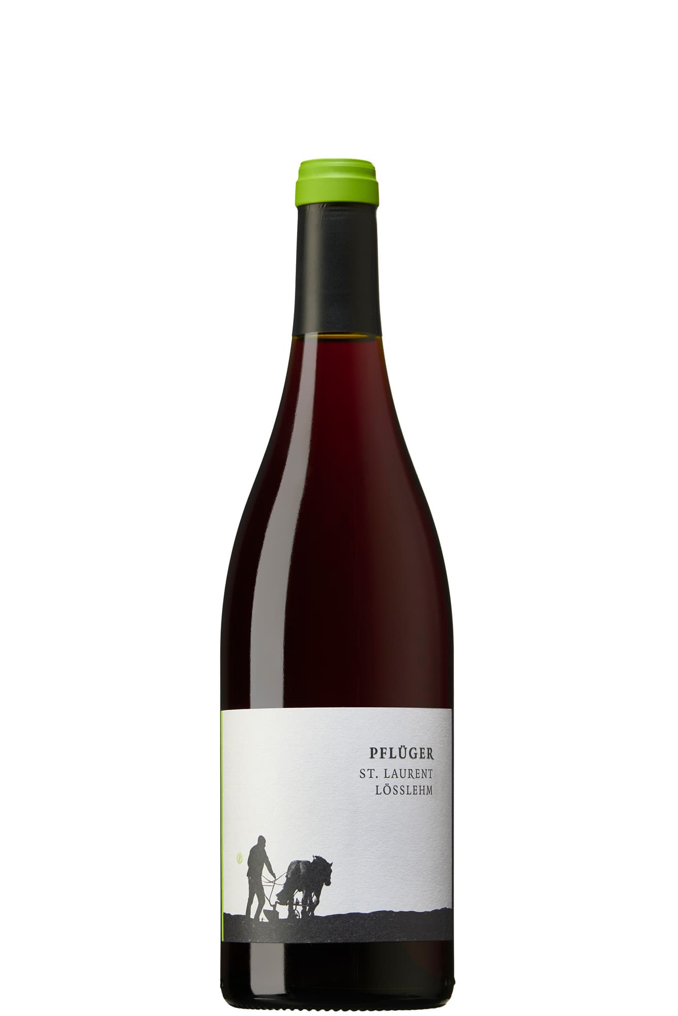 Pflüger, St. Laurent vom Lösslehm Gutswein 2022 Bio