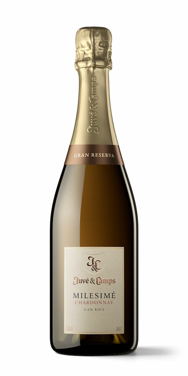 Juvé y Camps, Milesimé Chardonnay Can Rius 2019 Bio